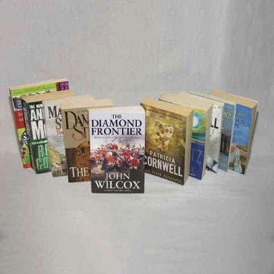 a collection of english books/novels image