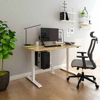Office Desks & Chairs Image
